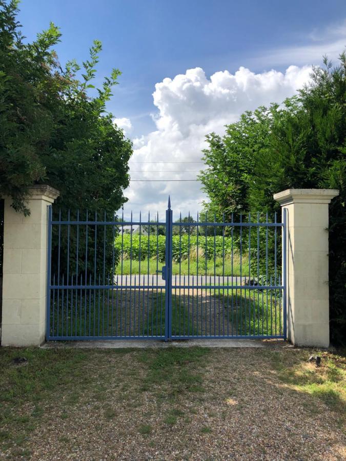 Chambres D Hotes Avec Piscine Et Spa La Foliere Saumur Villebernier 外观 照片